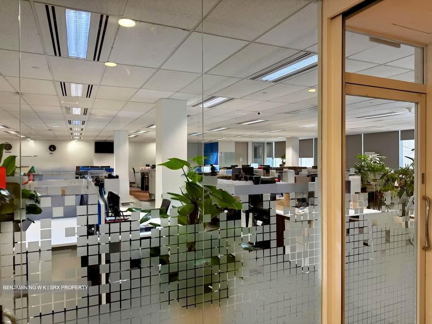 MYP Plaza (D1), Office #540485401